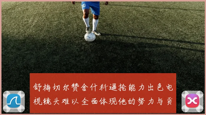 舒梅切尔赞舍什科逼抢能力出色电视镜头难以全面体现他的努力与贡献